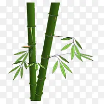 ���������ز�-������