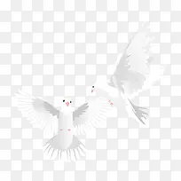 ����ʸ���ز�-������