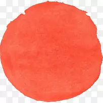 佛罗里达水彩画艺术圈-空若网 佛罗里达水彩画艺术圈-空若网