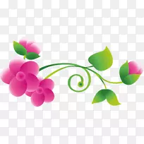 �����ֽ���ܲ���Picasa�������-��ɫ��-������