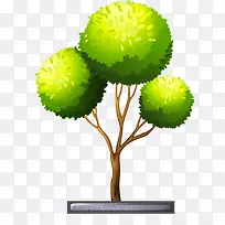 一棵大树-空若网 一棵大树-空若网
