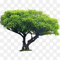 ��-������