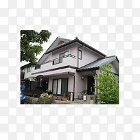 ��ɫ����-������