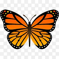 ��ɫ�ĺ���-������