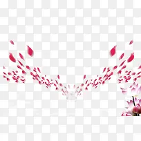 �����زı���-������