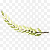 ����ɫ��֦ʸ���廭-������