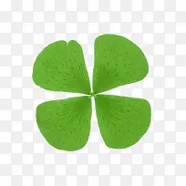 ÆÓËØËÄÒ¶²Ý-¿ÕÈôÍø ÆÓËØËÄÒ¶²Ý-¿ÕÈôÍø