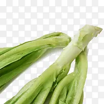 蔬菜油麦菜-空若网 蔬菜油麦菜-空若网