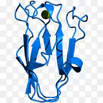 灰泥青苷类囊体细胞色素b6f复合蓝绿色细菌光合作用菠菜-空若网 灰泥青苷类囊体细胞色素b6f复合蓝绿色细菌光合作用菠菜-空若网