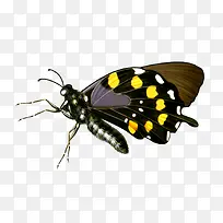 ����-������