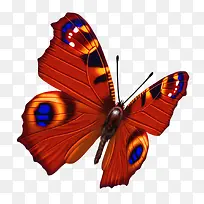 ����-������