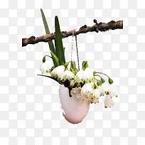 �������ϵĻ�-������