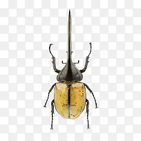 ¼â×ìÌú¼×³æ-¿ÕÈôÍø ¼â×ìÌú¼×³æ-¿ÕÈôÍø