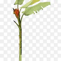 �Ž���֦Ԫ��-������