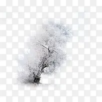 树-空若网 树-空若网