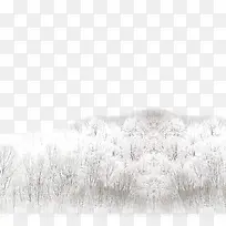 树-空若网 树-空若网