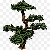 �ֻ����-������