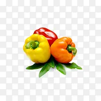 新鲜蔬菜辣椒免抠png-空若网 新鲜蔬菜辣椒免抠png-空若网