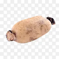 ������ź-������