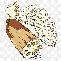 手绘莲藕-空若网 手绘莲藕-空若网