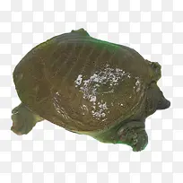 Ұ��������������-������