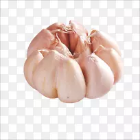 ����ʽ�����߲����-����-������