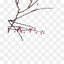 ��������-������