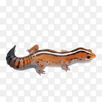 ʸ��ˮ�ʳ�ɫ����-������