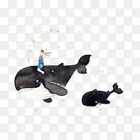 卡通小鲸鱼-空若网 卡通小鲸鱼-空若网