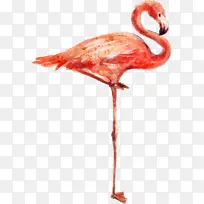 水彩动物站立的仙鹤-空若网 水彩动物站立的仙鹤-空若网