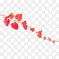 摄影 高清 红色叶子-空若网 摄影 高清 红色叶子-空若网