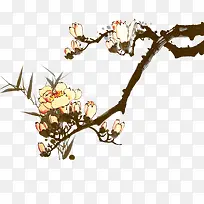 花枝-空若网 花枝-空若网