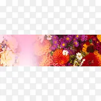 美丽花朵海报背景-空若网 美丽花朵海报背景-空若网
