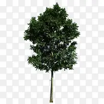 ����-������