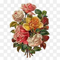 �λ�ͼƬ��ͼ��-������