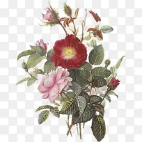 手绘卡通花饰仙境 卡通手绘花朵-空若网 手绘卡通花饰仙境 卡通手绘花朵-空若网