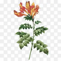 手绘花饰手绘花饰图标 卡通手绘-空若网 手绘花饰手绘花饰图标 卡通手绘-空若网