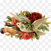 Ψ���ز��ֻ��ز�-������