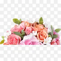 春天多彩玫瑰花装饰-空若网 春天多彩玫瑰花装饰-空若网