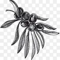 手绘树枝果实-空若网 手绘树枝果实-空若网