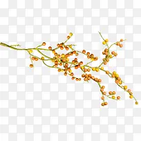 ֲ���ʵ-������