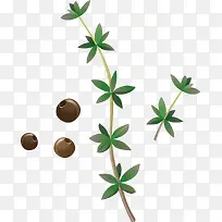 ��֦pngʸ���ز�-������