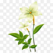 ��ɫ����-������