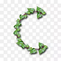 ��ĸ����ĸ��ͼ����-������-������