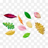 春天绿色彩色叶子-空若网 春天绿色彩色叶子-空若网