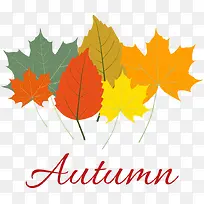 矢量卡通彩色树叶-空若网 矢量卡通彩色树叶-空若网