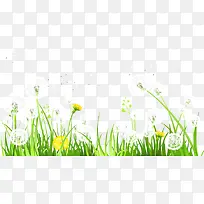 小草-空若网 小草-空若网