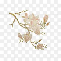 树枝和花-空若网 树枝和花-空若网