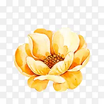 手绘水彩黄色花朵-空若网 手绘水彩黄色花朵-空若网