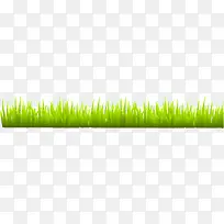 的多变草-空若网 的多变草-空若网